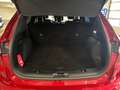 Ford Kuga Plug-In Hybrid ST-Line X Winterpaket 2/Techn.-Pake Rot - thumbnail 16