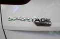 Kia Sportage 1.6 MHEV Drive 4x2 115 Blanco - thumbnail 21