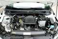 Volkswagen Polo R-LINE, 1 JAHR GARANTIE, TOP Weiß - thumbnail 11
