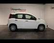 Fiat Panda III 2024 Panda 1.0 firefly hybrid s&s 70cv Bianco - thumbnail 4