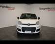 Fiat Panda III 2024 Panda 1.0 firefly hybrid s&s 70cv Bianco - thumbnail 2