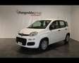 Fiat Panda III 2024 Panda 1.0 firefly hybrid s&s 70cv Bianco - thumbnail 1