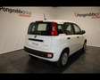 Fiat Panda III 2024 Panda 1.0 firefly hybrid s&s 70cv Bianco - thumbnail 6