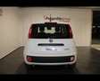 Fiat Panda III 2024 Panda 1.0 firefly hybrid s&s 70cv Bianco - thumbnail 5