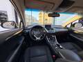 Lexus NX 300h NX300H L 2.5 VVT-i 16V 197 Hybrid AWD E-CVT 155 cv Boite auto Executive 300h 2WD Grau - thumbnail 24