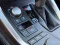Lexus NX 300h NX300H L 2.5 VVT-i 16V 197 Hybrid AWD E-CVT 155 cv Boite auto Executive 300h 2WD Grau - thumbnail 39
