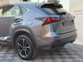 Lexus NX 300h NX300H L 2.5 VVT-i 16V 197 Hybrid AWD E-CVT 155 cv Boite auto Executive 300h 2WD Grau - thumbnail 10