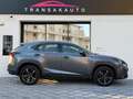 Lexus NX 300h NX300H L 2.5 VVT-i 16V 197 Hybrid AWD E-CVT 155 cv Boite auto Executive 300h 2WD Grau - thumbnail 15