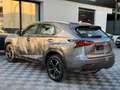 Lexus NX 300h NX300H L 2.5 VVT-i 16V 197 Hybrid AWD E-CVT 155 cv Boite auto Executive 300h 2WD Grau - thumbnail 9