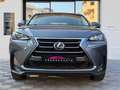 Lexus NX 300h NX300H L 2.5 VVT-i 16V 197 Hybrid AWD E-CVT 155 cv Boite auto Executive 300h 2WD Grau - thumbnail 3