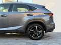 Lexus NX 300h NX300H L 2.5 VVT-i 16V 197 Hybrid AWD E-CVT 155 cv Boite auto Executive 300h 2WD Grau - thumbnail 8