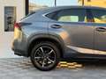 Lexus NX 300h NX300H L 2.5 VVT-i 16V 197 Hybrid AWD E-CVT 155 cv Boite auto Executive 300h 2WD Grau - thumbnail 17