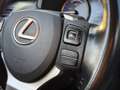 Lexus NX 300h NX300H L 2.5 VVT-i 16V 197 Hybrid AWD E-CVT 155 cv Boite auto Executive 300h 2WD Grau - thumbnail 29