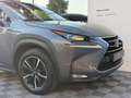 Lexus NX 300h NX300H L 2.5 VVT-i 16V 197 Hybrid AWD E-CVT 155 cv Boite auto Executive 300h 2WD Grau - thumbnail 4