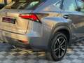 Lexus NX 300h NX300H L 2.5 VVT-i 16V 197 Hybrid AWD E-CVT 155 cv Boite auto Executive 300h 2WD Grau - thumbnail 14