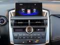 Lexus NX 300h NX300H L 2.5 VVT-i 16V 197 Hybrid AWD E-CVT 155 cv Boite auto Executive 300h 2WD Grau - thumbnail 35
