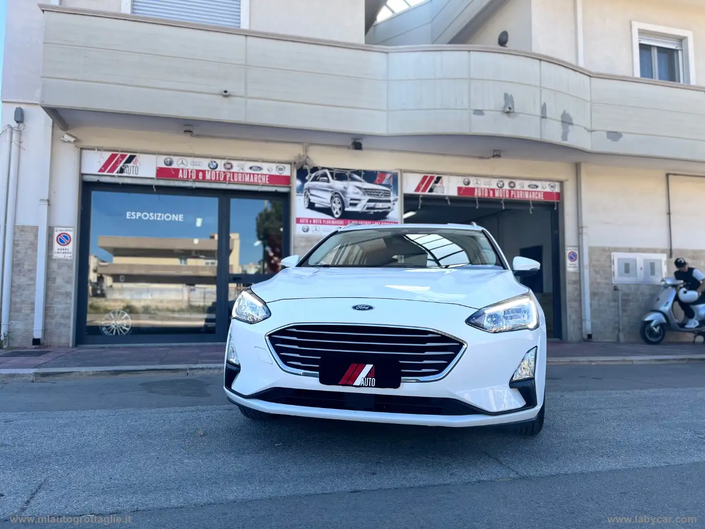 Ford Focus 1.5 EcoBlue 120CV SW Business Bianco - 2