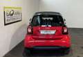 smart city-coupé/city-cabrio smart EQ fortwo 17,6kWh pasion Rot - thumbnail 5