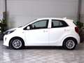 Kia Picanto 1.0 dpi Urban amt Bianco - thumbnail 8