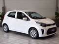 Kia Picanto 1.0 dpi Urban amt Bianco - thumbnail 3