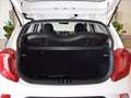 Kia Picanto 1.0 dpi Urban amt Bianco - thumbnail 9