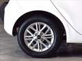 Kia Picanto 1.0 dpi Urban amt Bianco - thumbnail 15