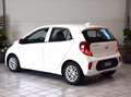 Kia Picanto 1.0 dpi Urban amt Bianco - thumbnail 7