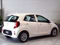 Kia Picanto 1.0 dpi Urban amt Bianco - thumbnail 5