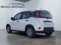 Fiat Panda 1.0 GSE Klima PDC DAB Radio Berganfahrass. Funkfer Weiß - thumbnail 3