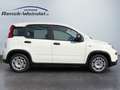Fiat Panda 1.0 GSE Klima PDC DAB Radio Berganfahrass. Funkfer Weiß - thumbnail 6
