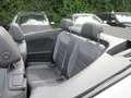 Volkswagen T-Roc Cabrio R-Line 1.5 TSI DSG NAVI AHK ALU 18 LED BEATS AID ACC BLACK STYLE SITZHEIZUNG APS KLIMA DAB ASSIST Weiß - thumbnail 8