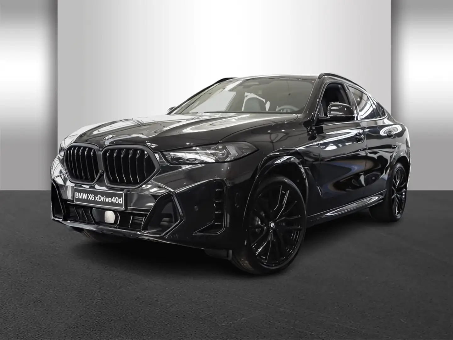 BMW X6 xDrive40d M Sport Navi Leder Tempom.aktiv Panorama Noir - 2