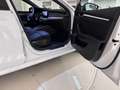 Skoda Octavia Combi 1,5 TSI e-TEC Style DSG|Auto Stahl W22 Weiß - thumbnail 8