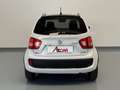 Suzuki Ignis Ignis 1.2 Dualjet 4WD All Grip Top Bianco - thumbnail 6