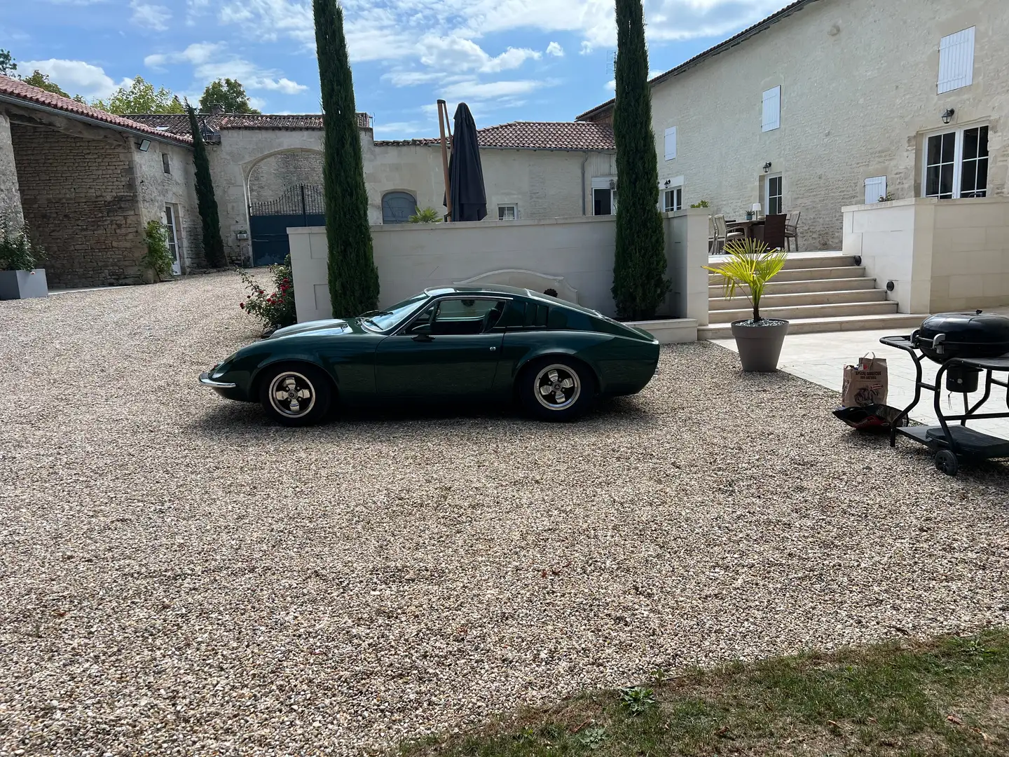 Volkswagen Puma Tubarao Зелений - 1