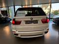BMW X5 xDrive 30d M Sport Edition* HEAD-UP*360CAM*PANODAK Weiß - thumbnail 6