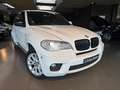 BMW X5 xDrive 30d M Sport Edition* HEAD-UP*360CAM*PANODAK Weiß - thumbnail 1