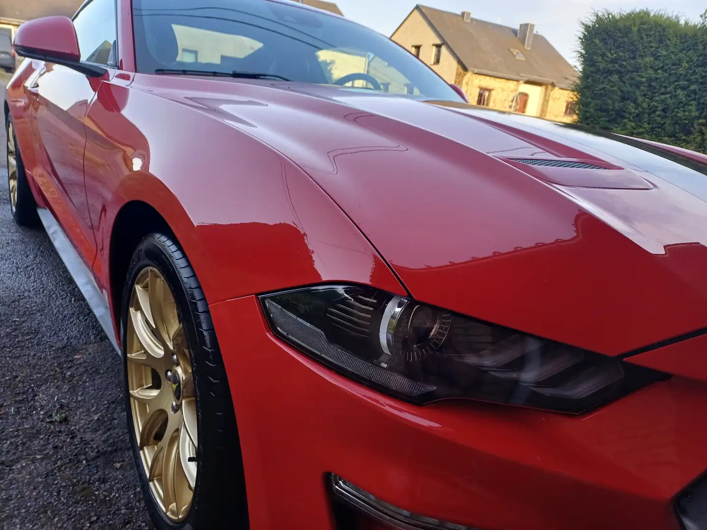 Ford Mustang Mustang 2.3 EcoBoost (EU6.2) Rouge - 2