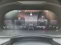 Skoda Kamiq Selection 1,0 TSI DSG KAMERA GRA CARPLAY Grau - thumbnail 17