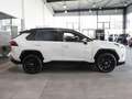Toyota RAV 4 2.5 Hybrid Style  NAVI SHZ PDC KLIMA Carplay Blanc - thumbnail 3