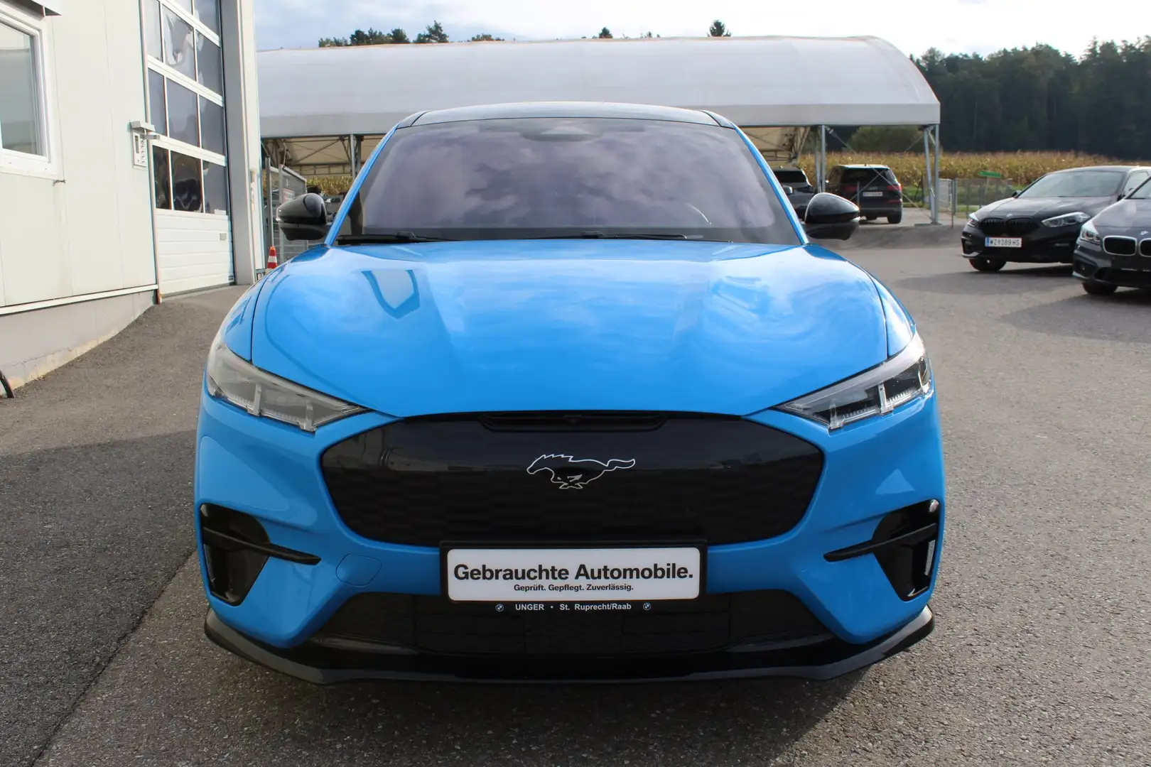 Ford Mustang Mach-E Mustang Mach-E 88kWh GT Elektr Bleu - 2