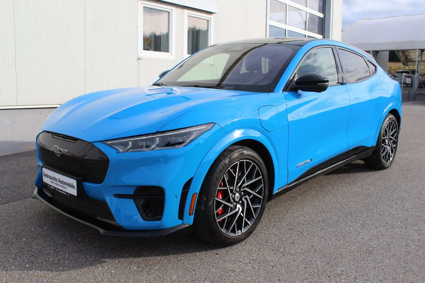 Ford Mustang Mach-E Mustang Mach-E 88kWh GT Elektr Bleu - 1