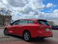 Ford Focus Sportbreak 1.5Ecoblue Titanium Rojo - thumbnail 12