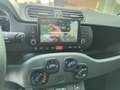 Fiat Panda Panda 1.0 hybrid City Cross 5 Posti Nero - thumbnail 4