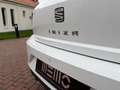 SEAT Ibiza 1.0 TSI FR Business Intense - LED - Adaptive cruis Blanc - thumbnail 26
