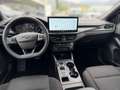 Ford Focus ST-Line 1,5L Eblue 115PS A8 FWD Schwarz - thumbnail 8
