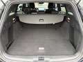 Ford Focus ST-Line 1,5L Eblue 115PS A8 FWD Schwarz - thumbnail 13