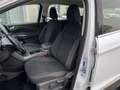 Ford Kuga 1.5 TDCI 120 CV S&S 2WD Titanium*Navi*Apple Car Pl Bianco - thumbnail 8