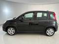 Fiat Panda 1.0 FireFly Hybrid Nero - thumbnail 3