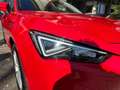 SEAT Leon Leon 2.0 TDI Business Rosso - thumbnail 13